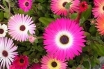 Pobyt Beauty dla pań