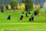 Golf za výhodnou cenu