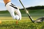 Pakiet golfowy 2010
