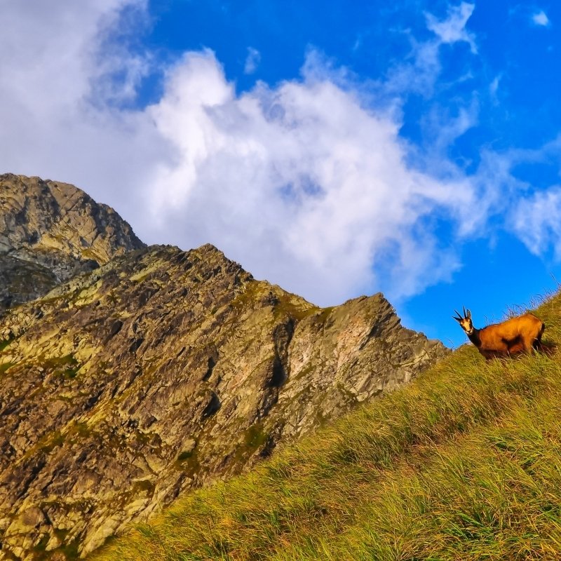 <p>Jarný víkend v Tatrách</p>