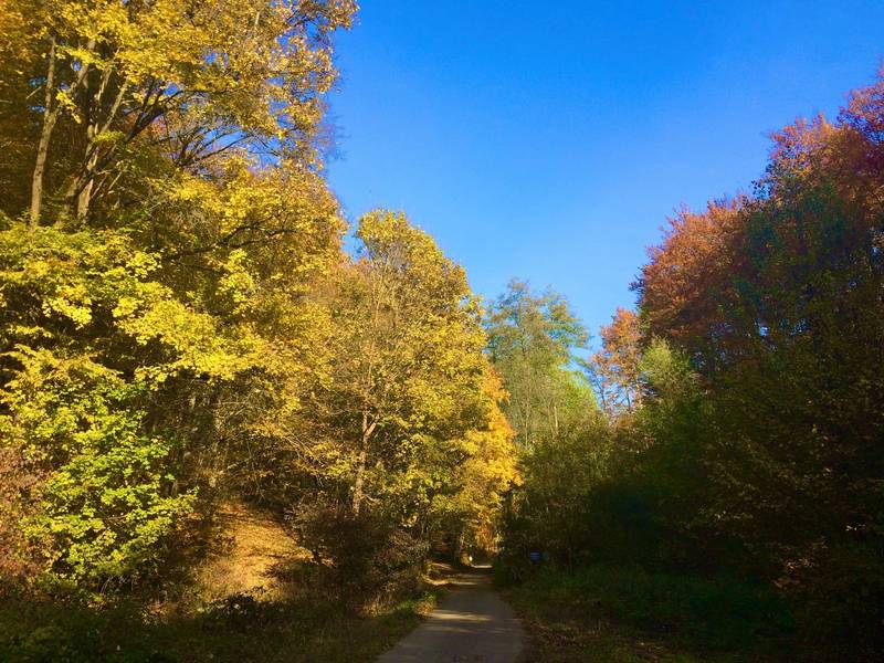 Penzión Kúpeľný dom Alžbeta 