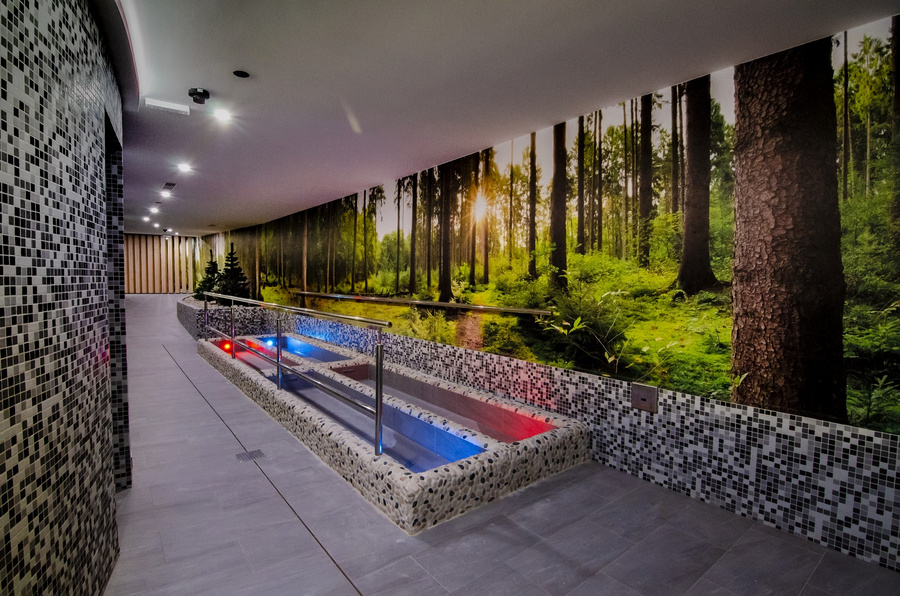 Vianoce Wellness 