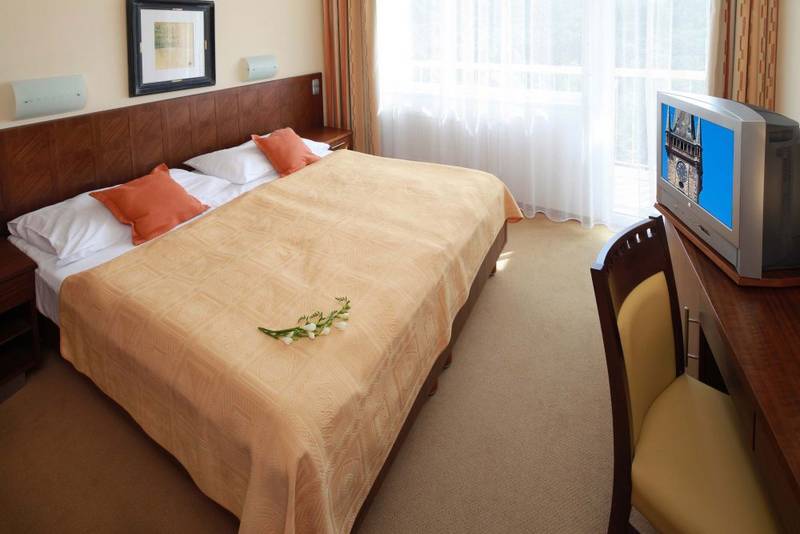 Program Classic 2026/2027