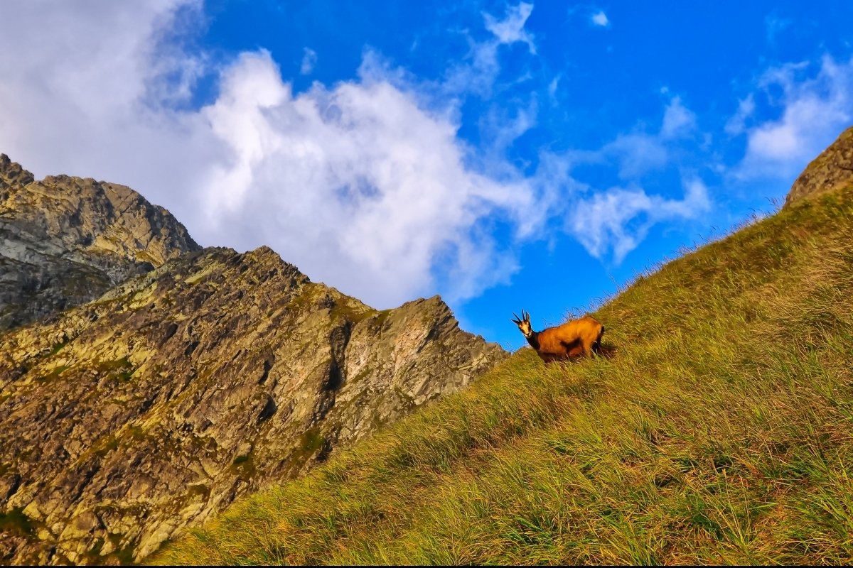 <p>Jarný víkend v Tatrách</p>