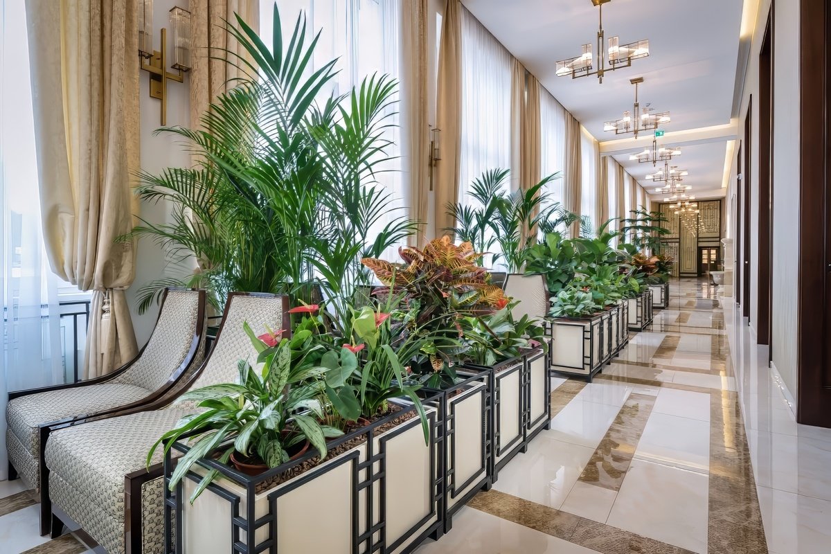 Hotel Royal Palace *****