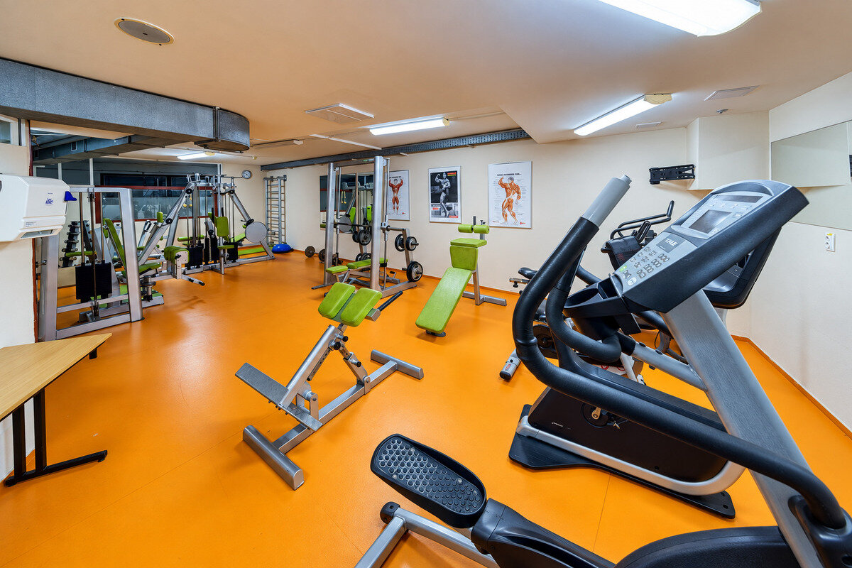 Hotel Wellness Patince ****